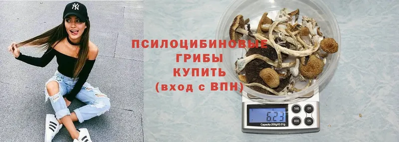 где купить наркоту  гидра зеркало  Псилоцибиновые грибы Magic Shrooms  Нюрба 